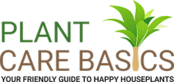 Plant Care Basics