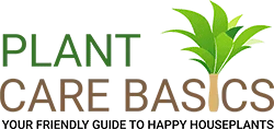 Plant Care Basics