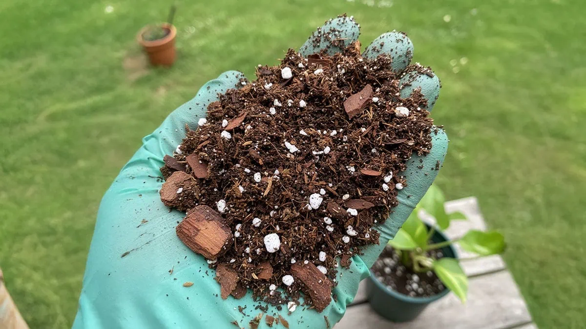 Best Soil for Pothos: 3-Ingredient DIY Recipe (Expert Guide)