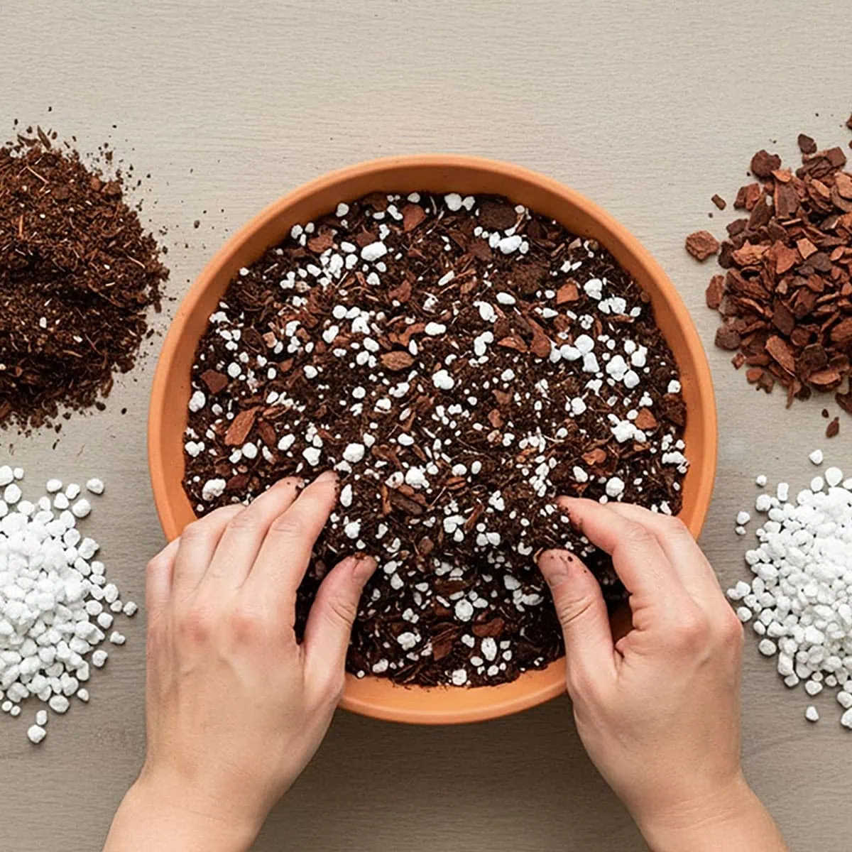Ingredients for the perfect ZZ plant soil mix including perlite, orchid bark, and potting soil.