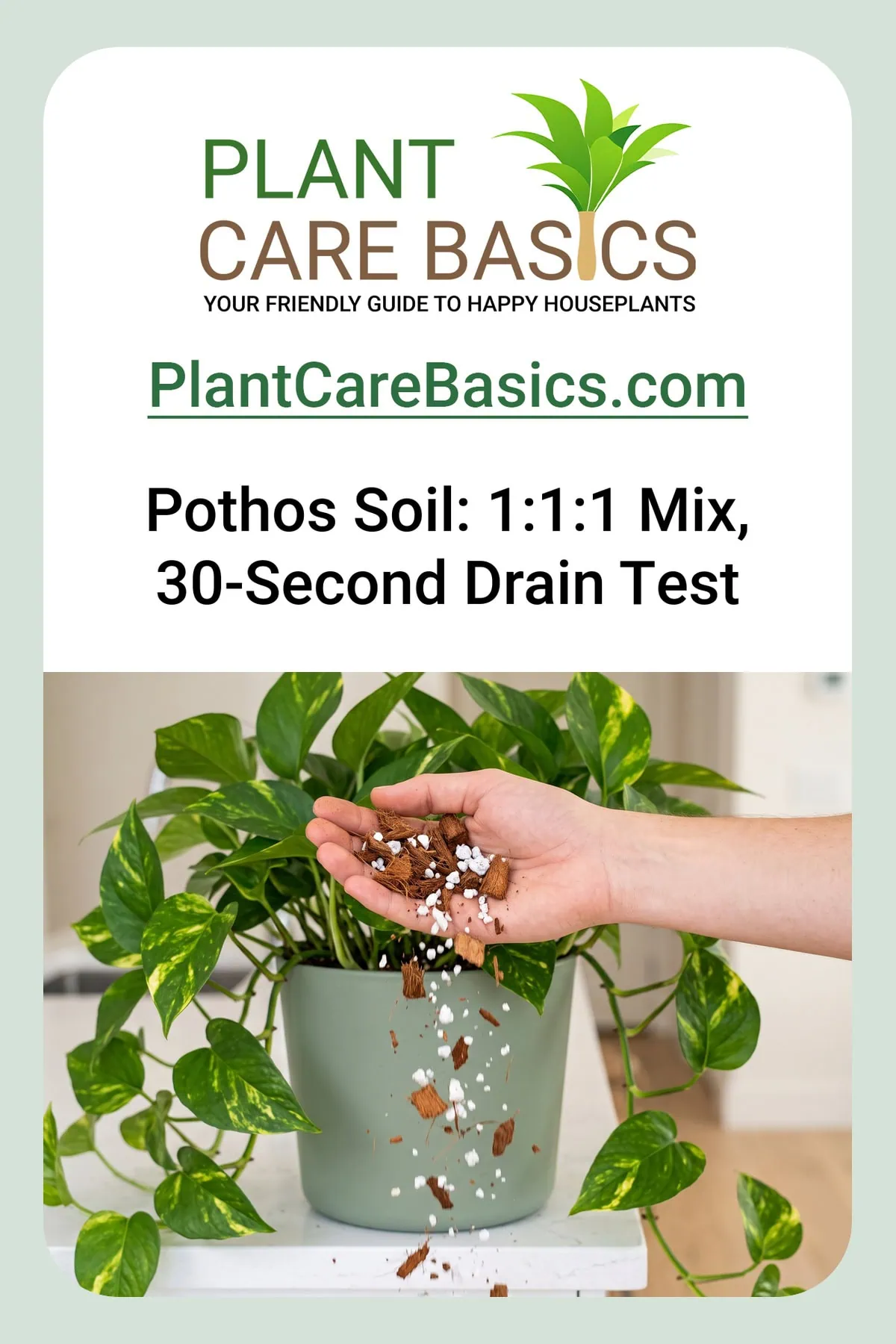 What is the best soil for a Pothos: a hand releasing mixed coir, bark and perlite, the particles falling loose.