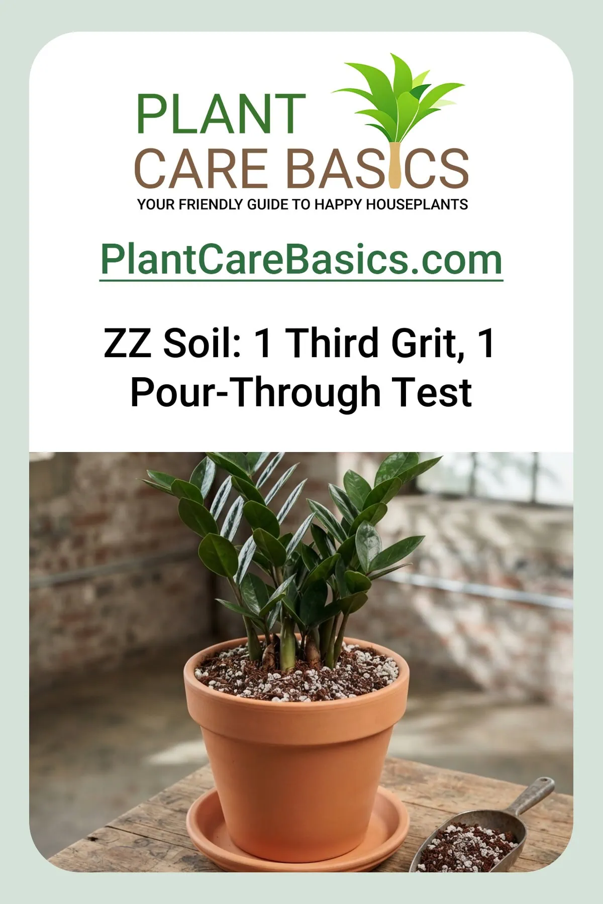 What is the best soil for a ZZ plant? A gritty coco coir and pumice mix around a healthy Zamioculcas zamiifolia.
