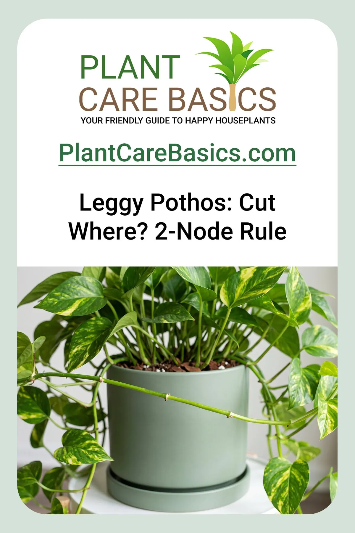 How to fix a leggy Pothos: one bare, stretched vine standing out from an otherwise full golden plant.