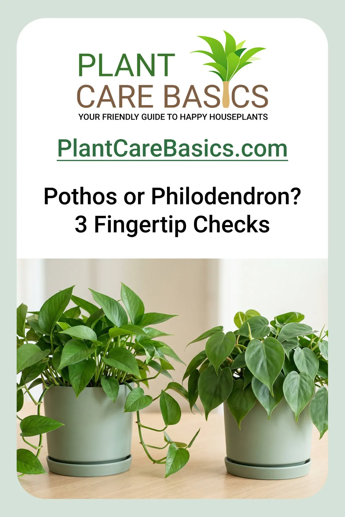 Pothos vs Philodendron compared side by side on one table, a golden Pothos beside a heart-leaf Philodendron.