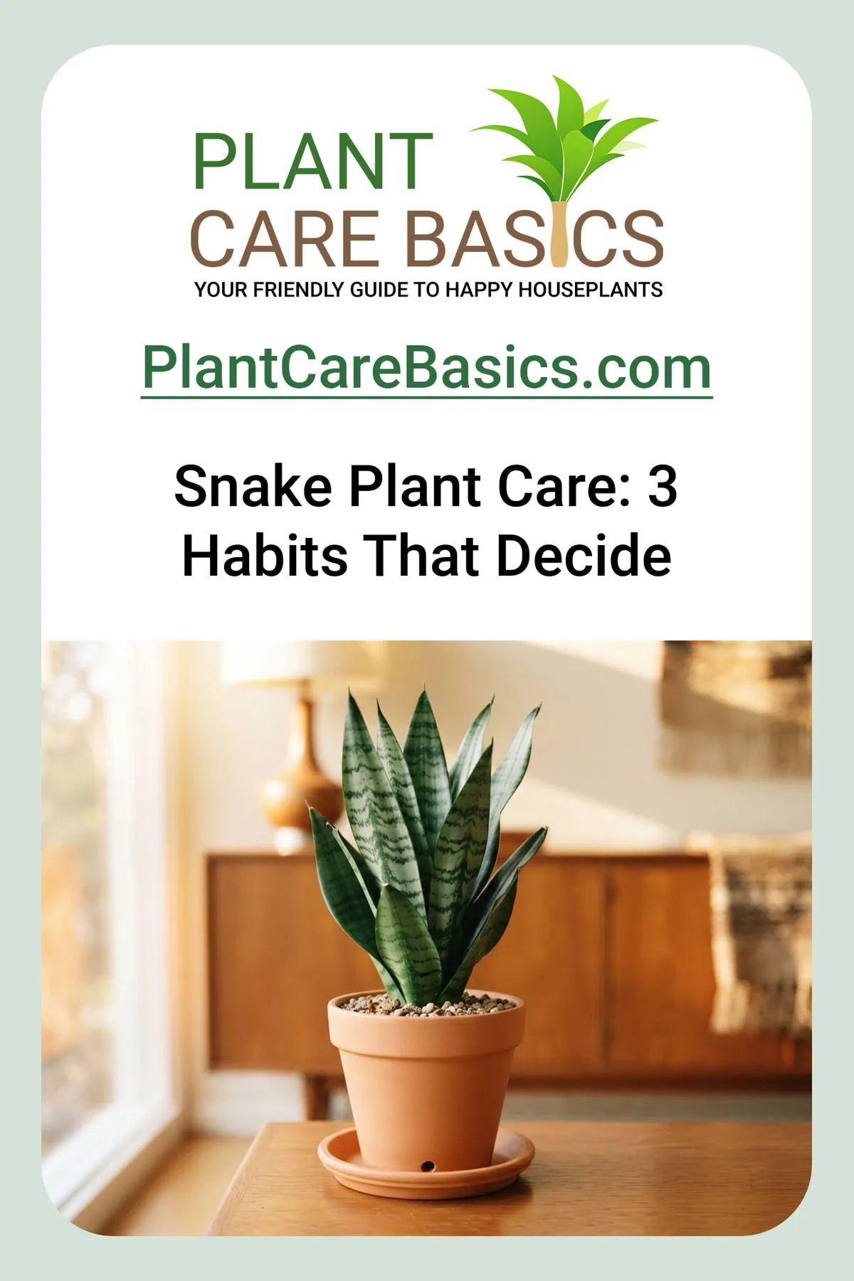 Snake plant care guide: a healthy Dracaena trifasciata with stiff cross-banded upright leaves in a terracotta pot.