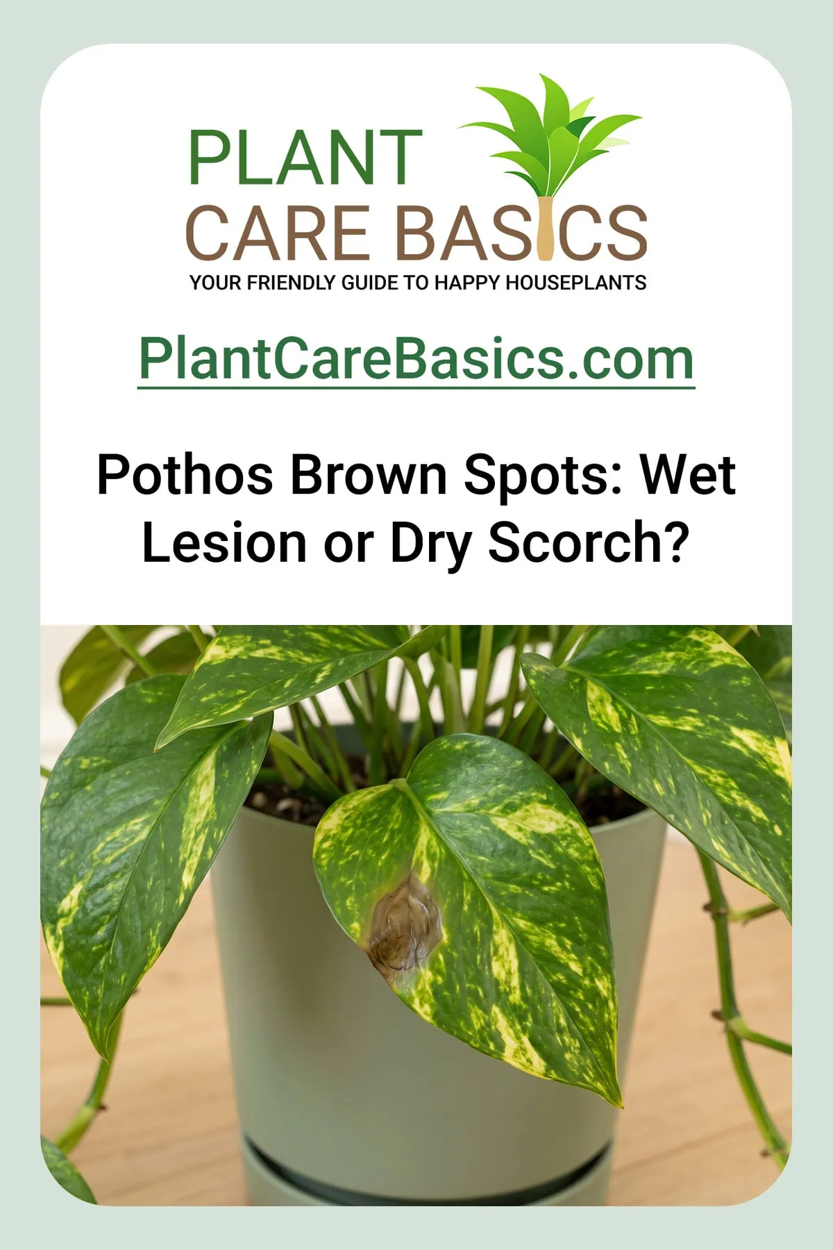 Why does my Pothos have brown spots: a macro of one brown mark on a leaf, its texture and edge readable.