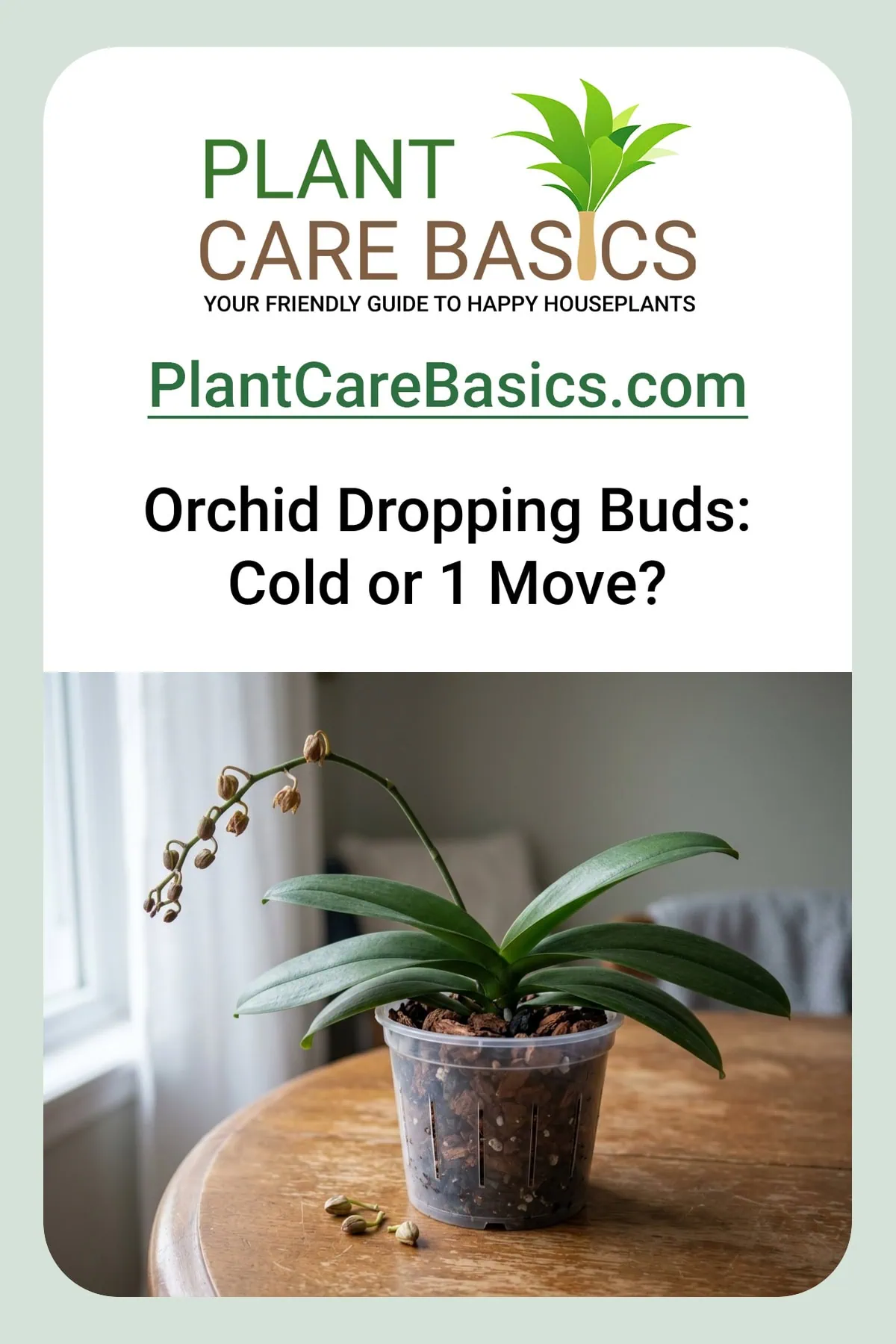 Why is my Phalaenopsis orchid dropping buds and flowers? The spike hangs with yellowing, shriveled, falling buds.