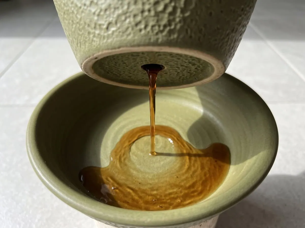 Brown water running from an Aloe vera pot base, the excess going out into its saucer each time I water.
