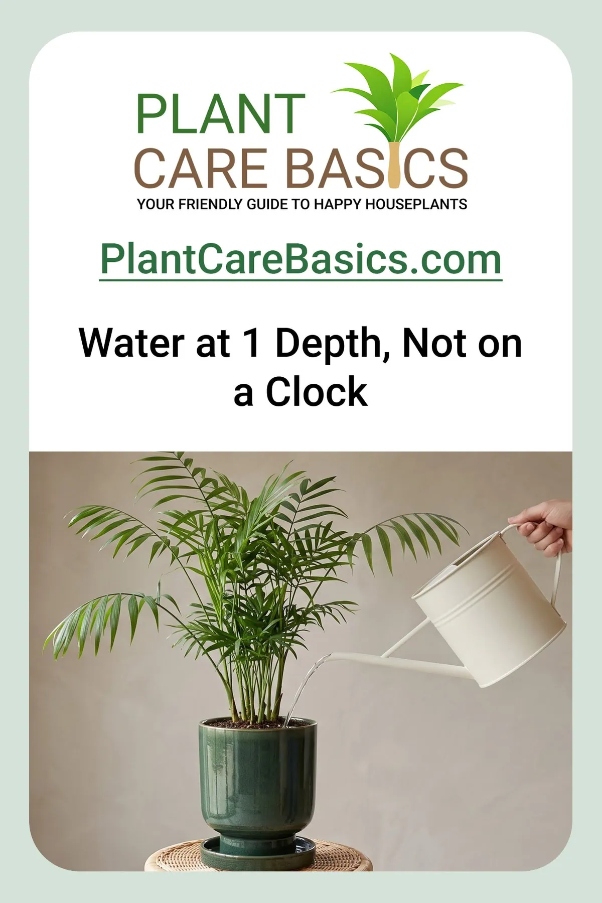 How often to water a parlor palm without root rot: a can tipping water onto the medium surface.