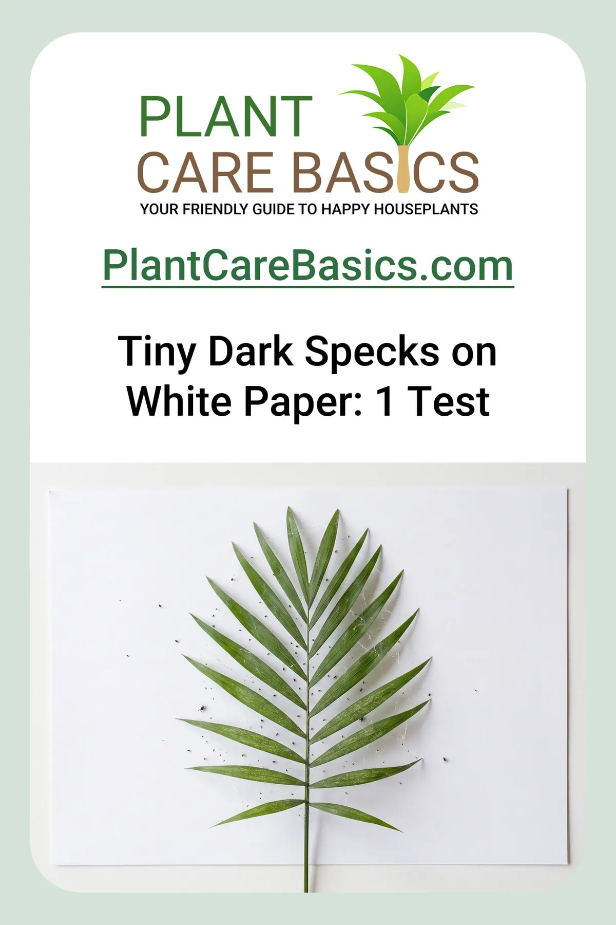 How to get rid of spider mites and scale on a parlor palm: tiny dark specks on white paper below a frond.
