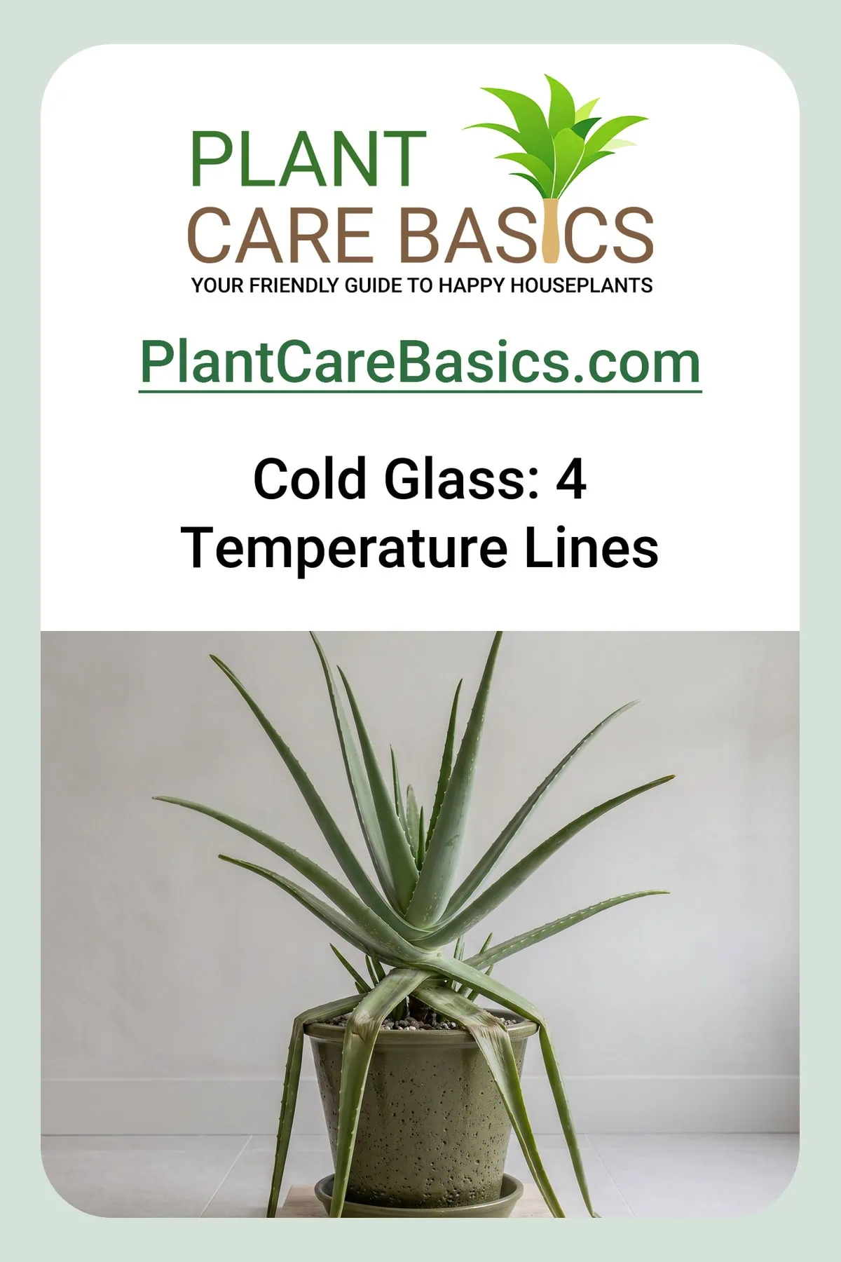 How to overwinter Aloe vera indoors without cold damage: the lowest leaf folded out by a closed window.