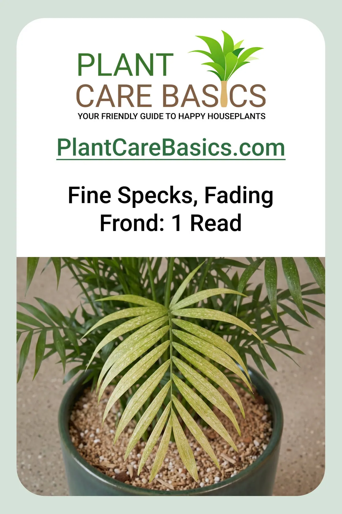 Why is my parlor palm turning pale yellow with white speckles: a frond scattered with fine specks and fading.